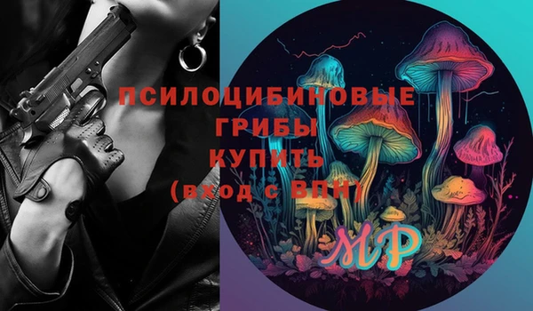 apvp Абаза