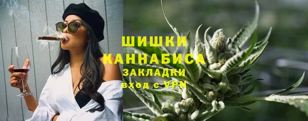 PSILOCYBIN Пересвет