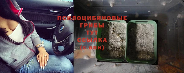 ECSTASY Абинск