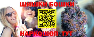 индика Можга