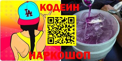 индика Можга