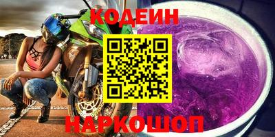 индика Можга