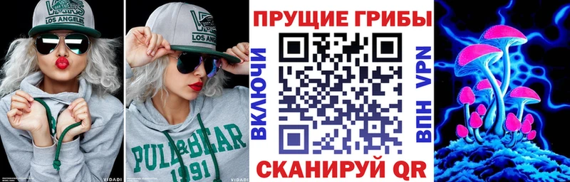 Псилоцибиновые грибы GOLDEN TEACHER Чита