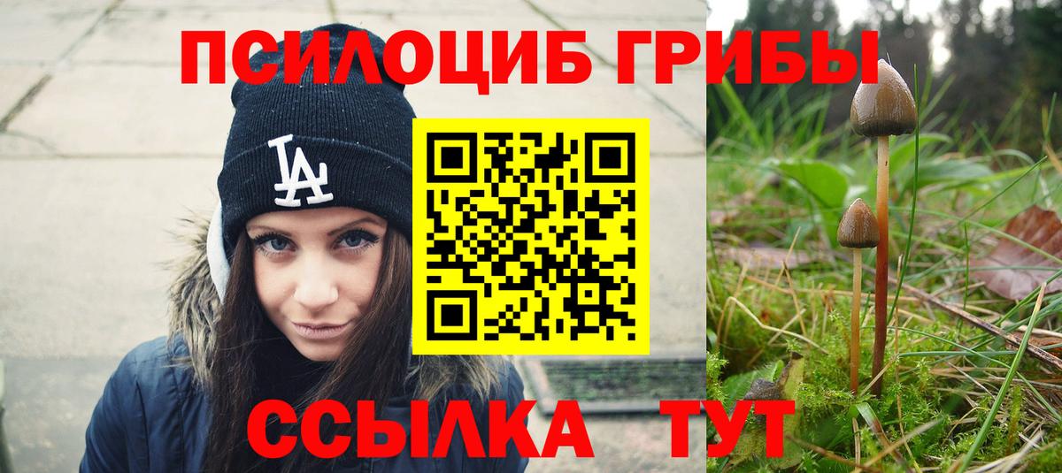 Чита  даркнет сайт  Вход с VPN  Псилоцибиновые грибы мухоморы 