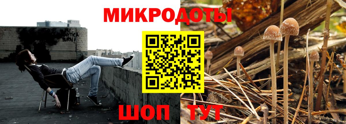 Галлюциногенные грибы мухоморы Чита